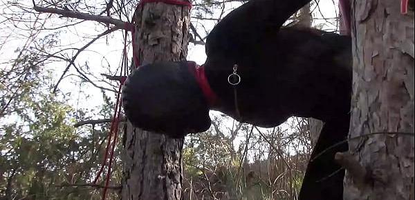 trendsOutdoor sex in the wood. Wearing sexy clothes and high heels, bound, throated and fucked